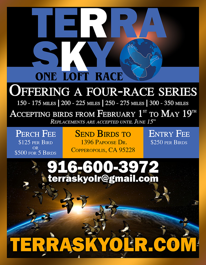 Terra Sky One Loft Race - Home